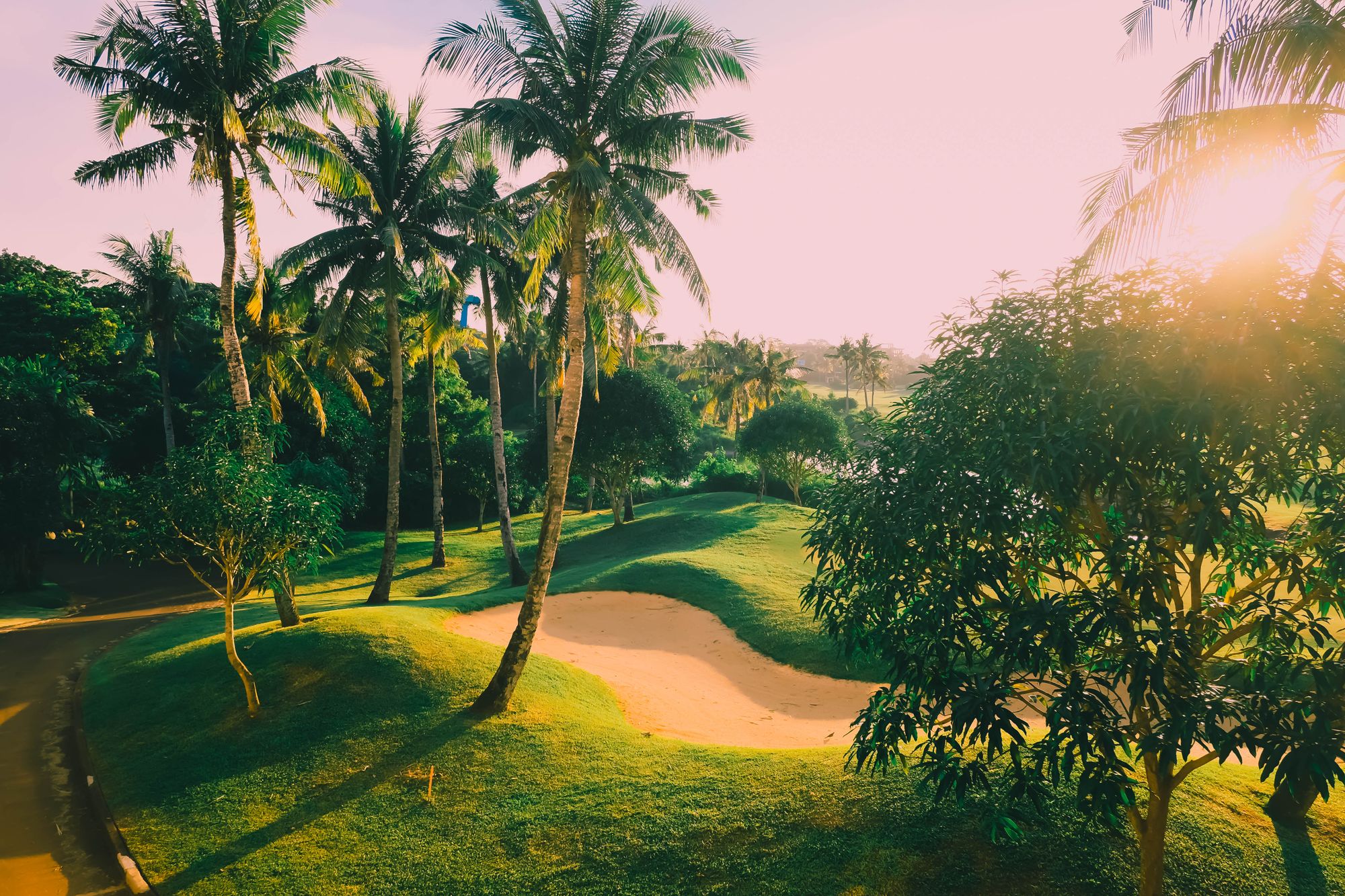 Tropical golf course with palm trees, a sand bunker and warm morning light